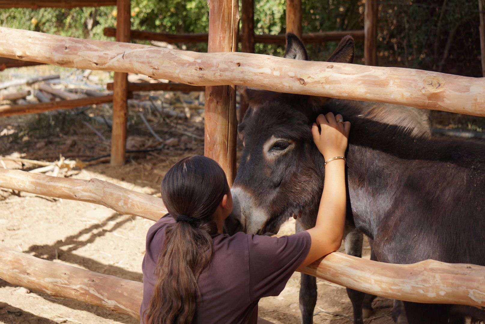 Farm Tours & Permaculture Walks